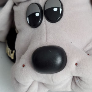 Meet your Posher, Cole